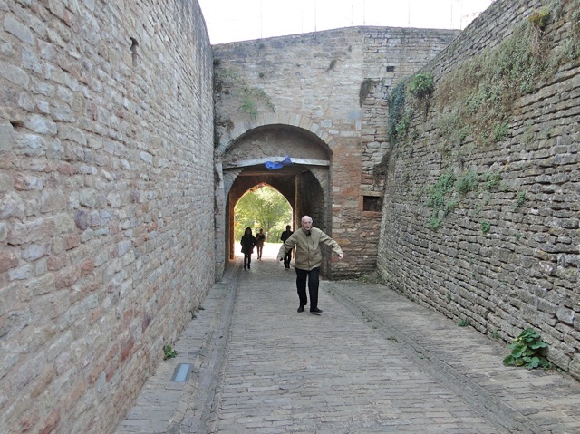 DSC00008