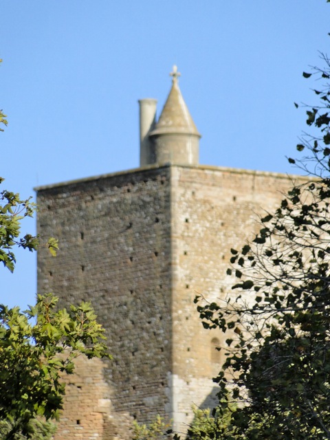 DSC09995