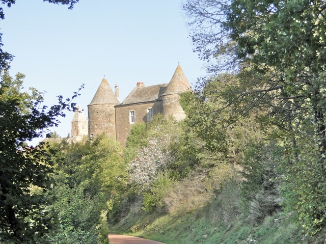 DSC09996