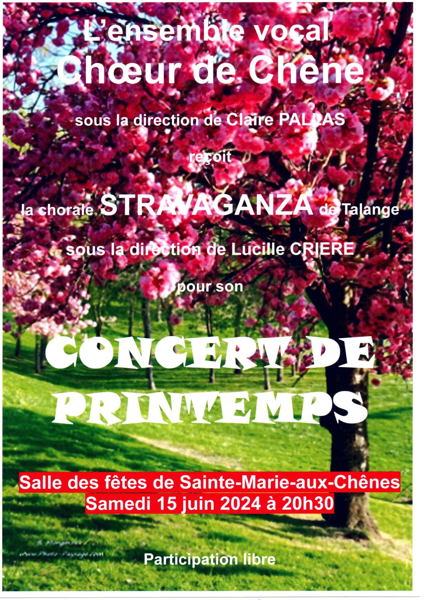 2024 06 15 concert de printemps cdc affiche